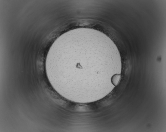 X0000115740510200912241650