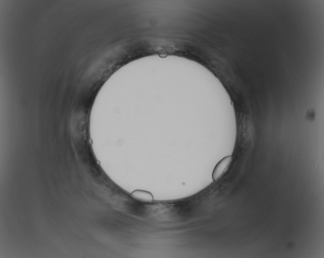 X0000115740511200912241650