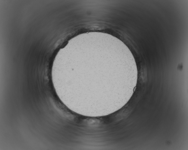 X0000115740512200912241650