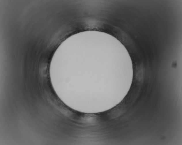 X0000115740514200912241650