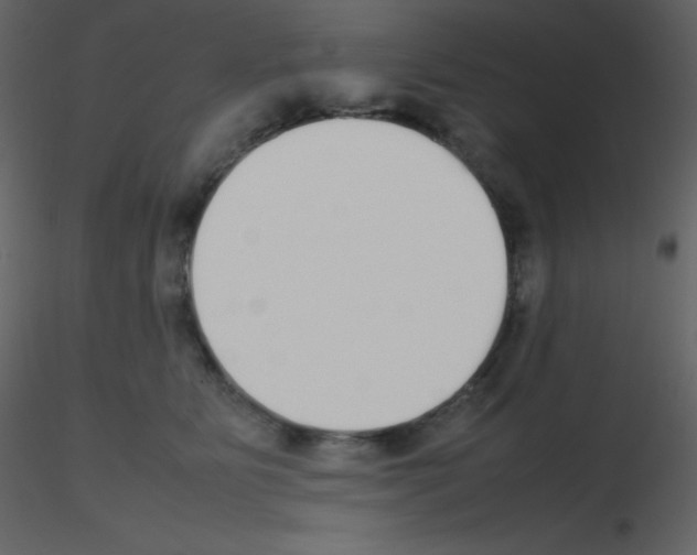 X0000115740515200912241650