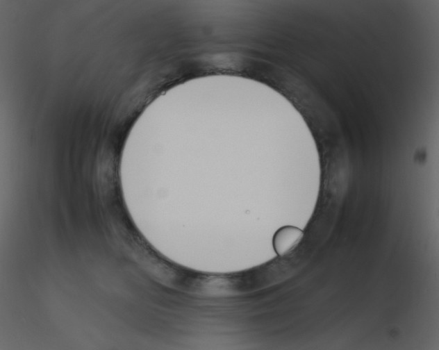 X0000115740518200912241650