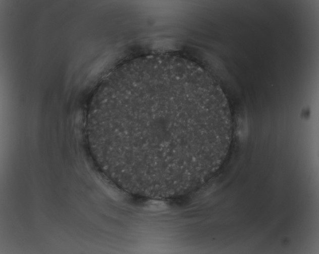 X0000115740519200912241650