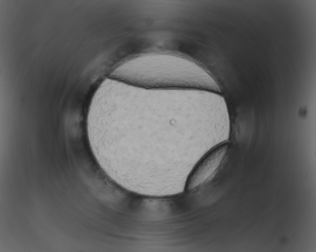 X0000115740520200912241650