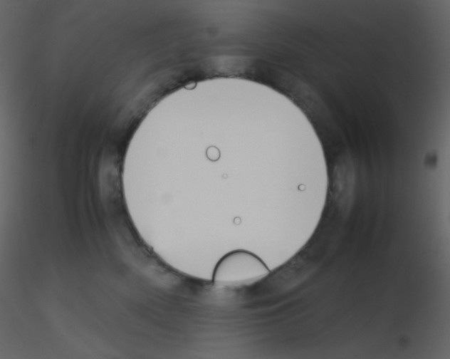 X0000115740522200912241650