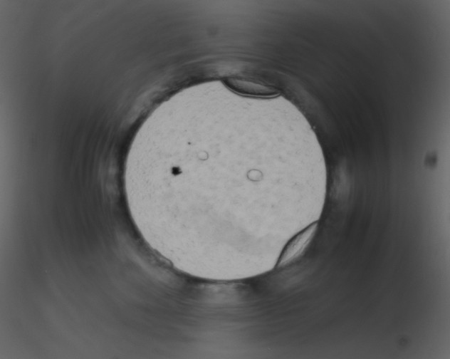 X0000115740524200912241650