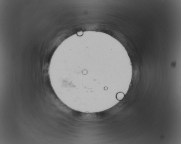 X0000115740525200912241650