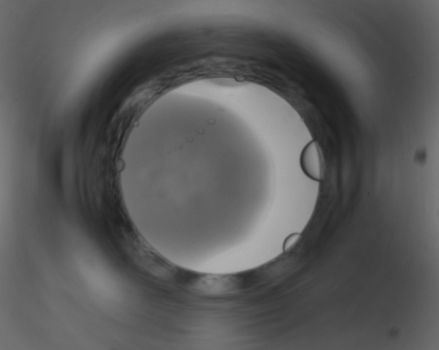 X0000115740526200912241650