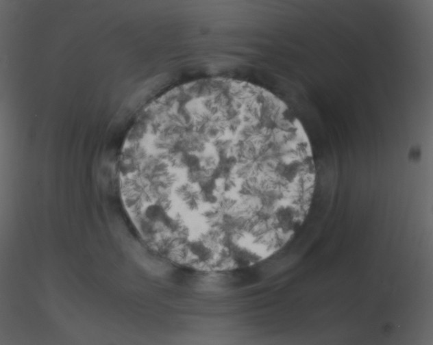 X0000115740527200912241650