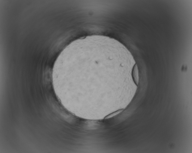 X0000115740528200912241650