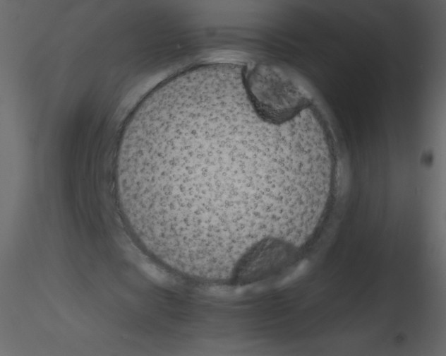 X0000115740529200912241649