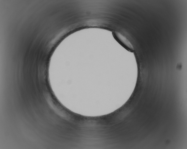 X0000115740530200912241649