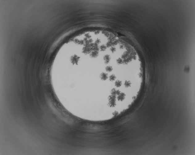 X0000115740531200912241649