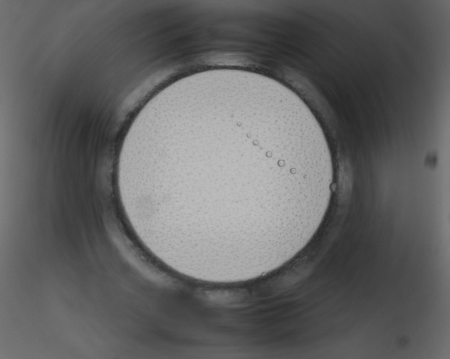 X0000115740533200912241649