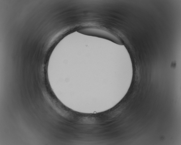 X0000115740535200912241649