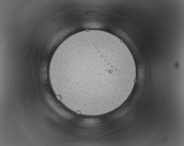 X0000115740541200912241649