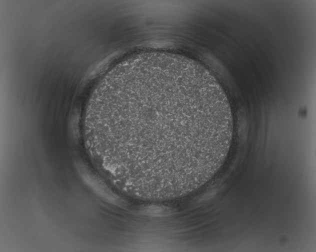 X0000115740542200912241649