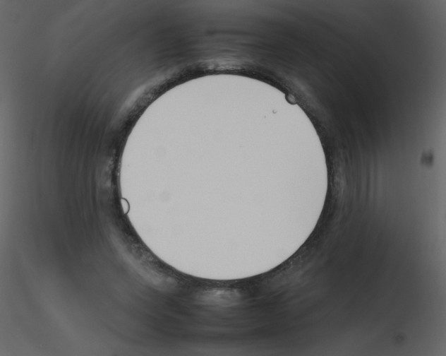 X0000115740543200912241649