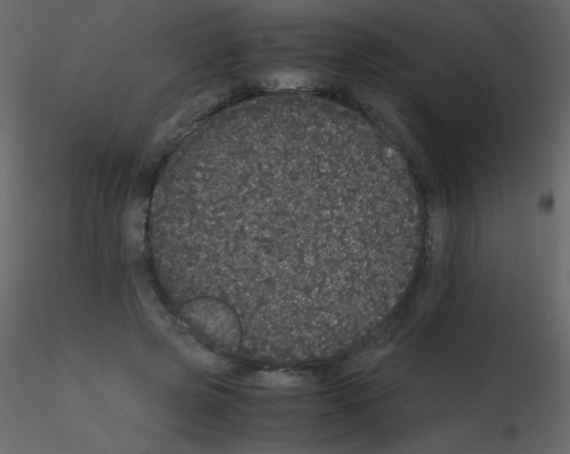 X0000115740545200912241649