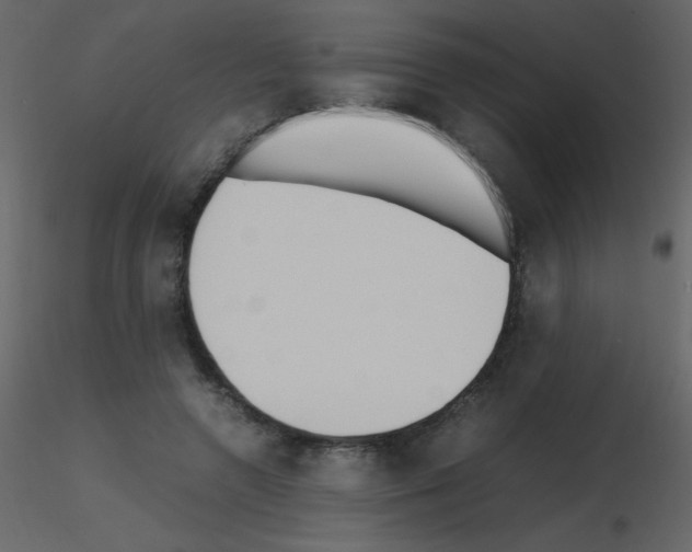 X0000115740546200912241649