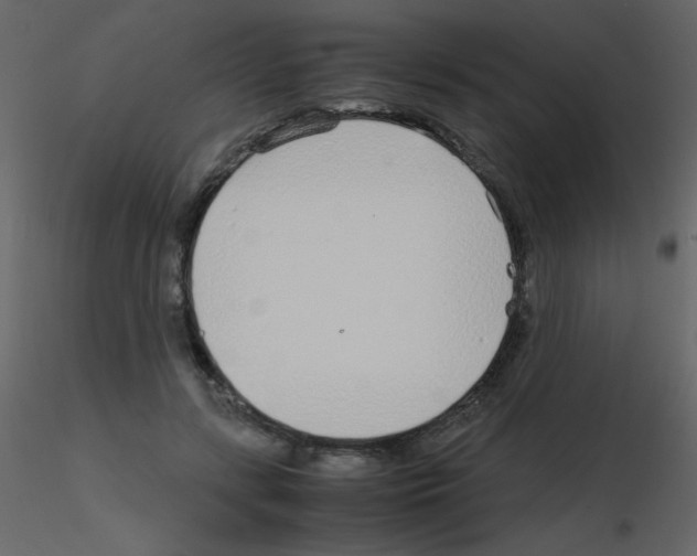 X0000115740547200912241649