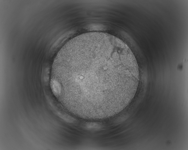 X0000115740549200912241649