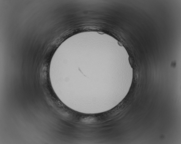 X0000115740551200912241649