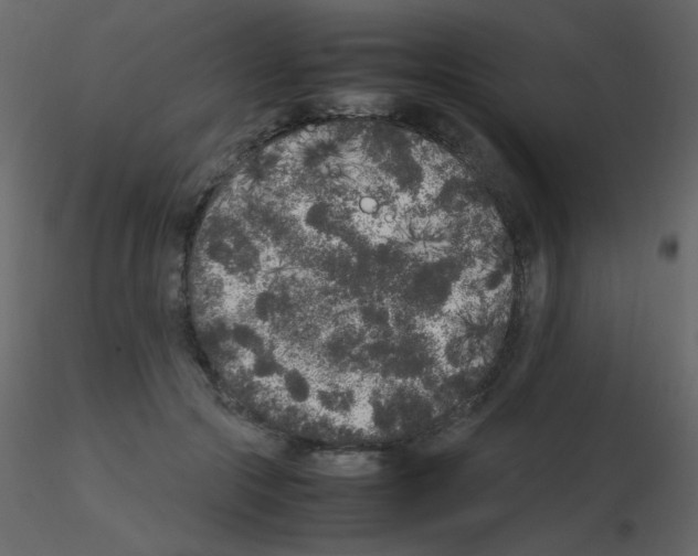 X0000115740553200912241649