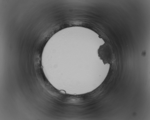 X0000115740555200912241649