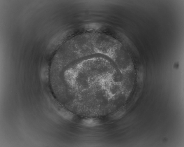 X0000115740561200912241649