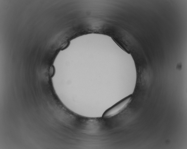 X0000115740562200912241649