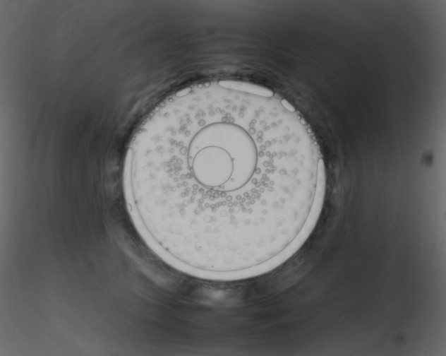 X0000115740563200912241649