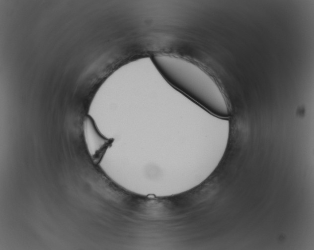 X0000115740566200912241649