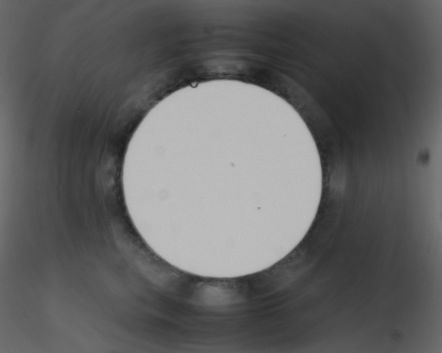 X0000115740567200912241649