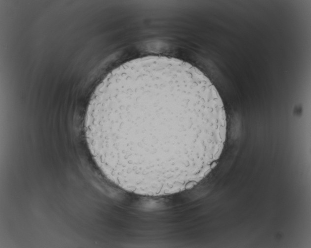 X0000115740569200912241649