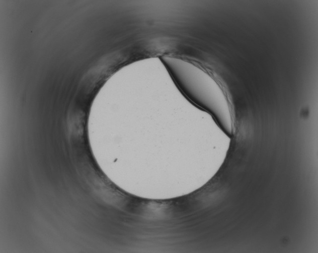 X0000115740570200912241649