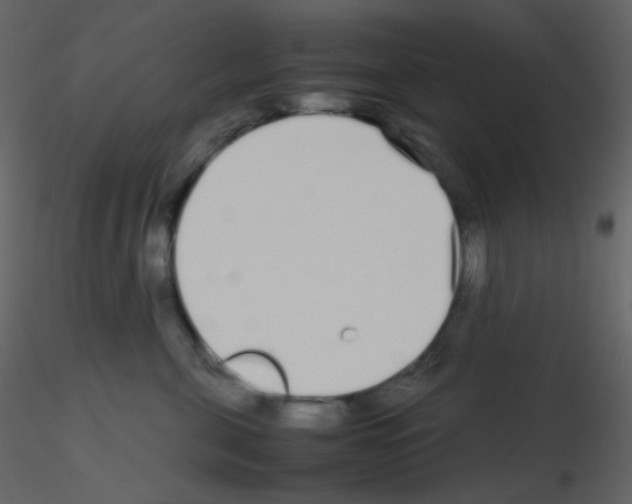 X0000115740571200912241649