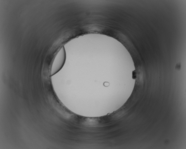 X0000115740573200912241649