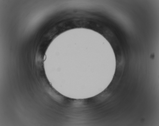 X0000115740574200912241650