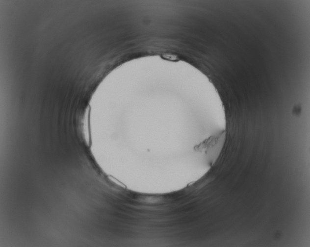 X0000115740575200912241650