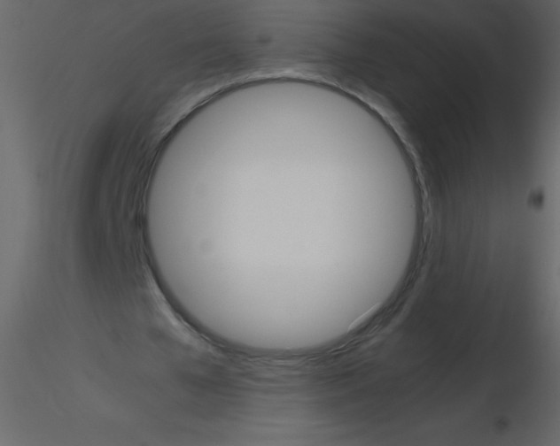 X0000115740577200912241649