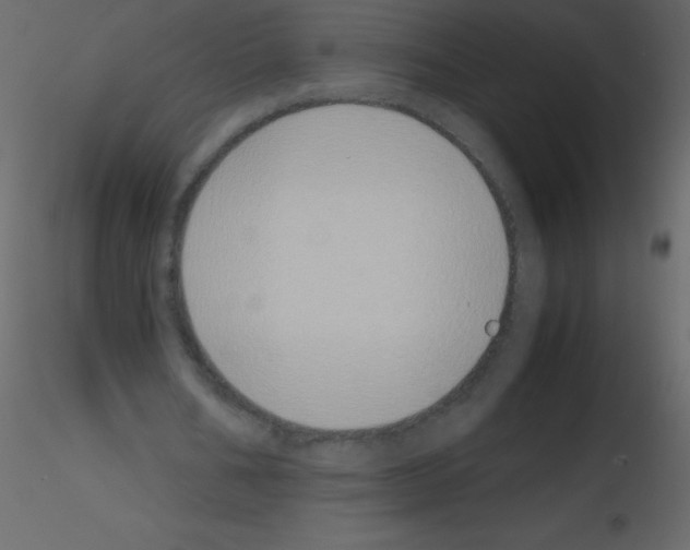 X0000115740578200912241649