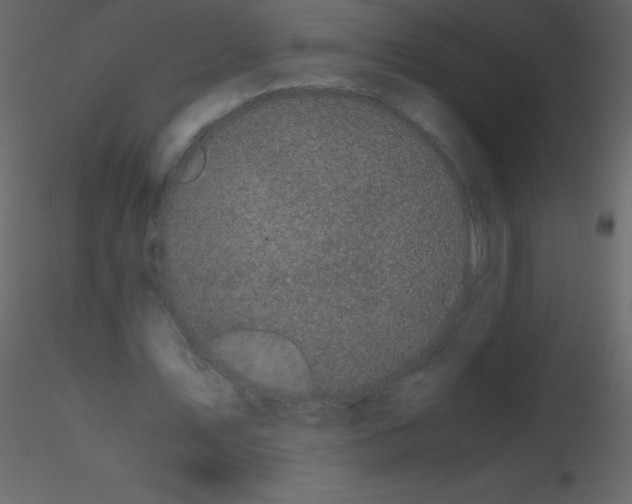 X0000115740579200912241649