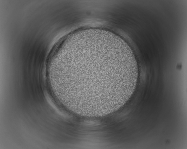 X0000115740582200912241649