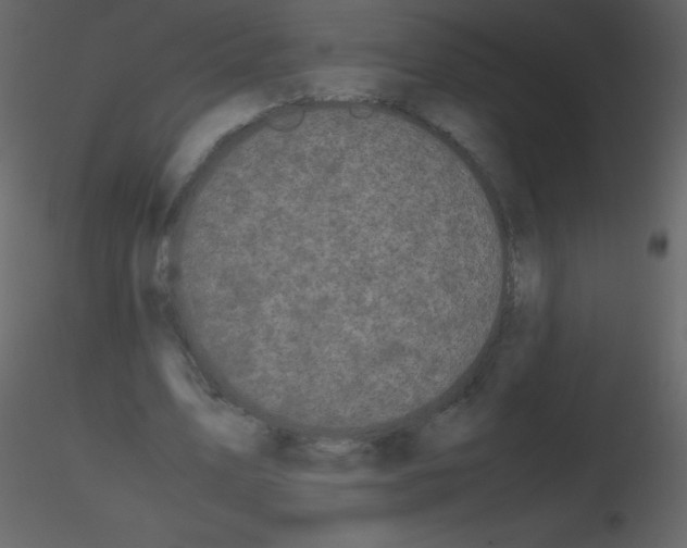 X0000115740583200912241649