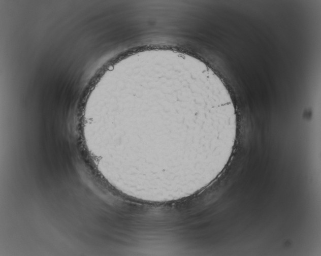 X0000115740584200912241649