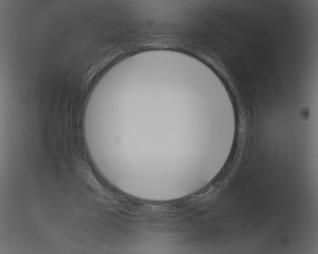 X0000115740585200912241649