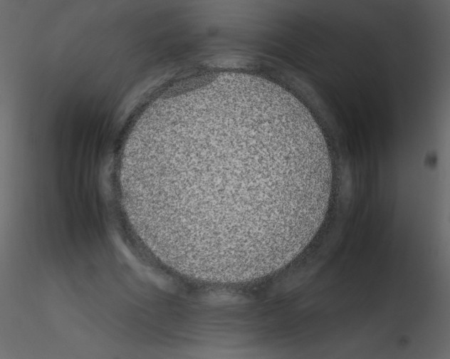 X0000115740586200912241649