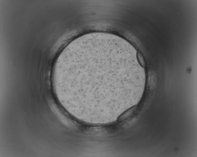 X0000115740589200912241649