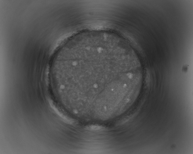 X0000115740590200912241649